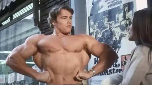 Arnold Schwarzenegger a jeho tajemství: Kulturistika nebyla jeho největší vášeň