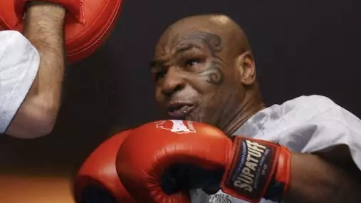 To jsou granáty! Mike Tyson na lapách ukázal, že věk je jenom číslo. Fanoušci žasnou 